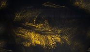 Abstract gold and black epoxy floor design
