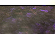Dark purple and black epoxy floor coating
