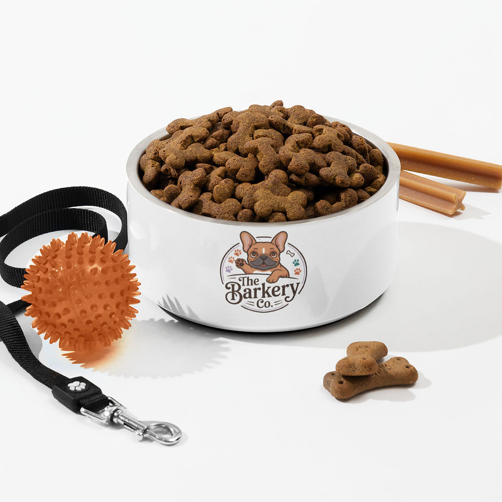 Miniatura: The Barkery Pet bowl