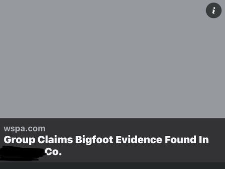 Bigfoot and a Pine Grove