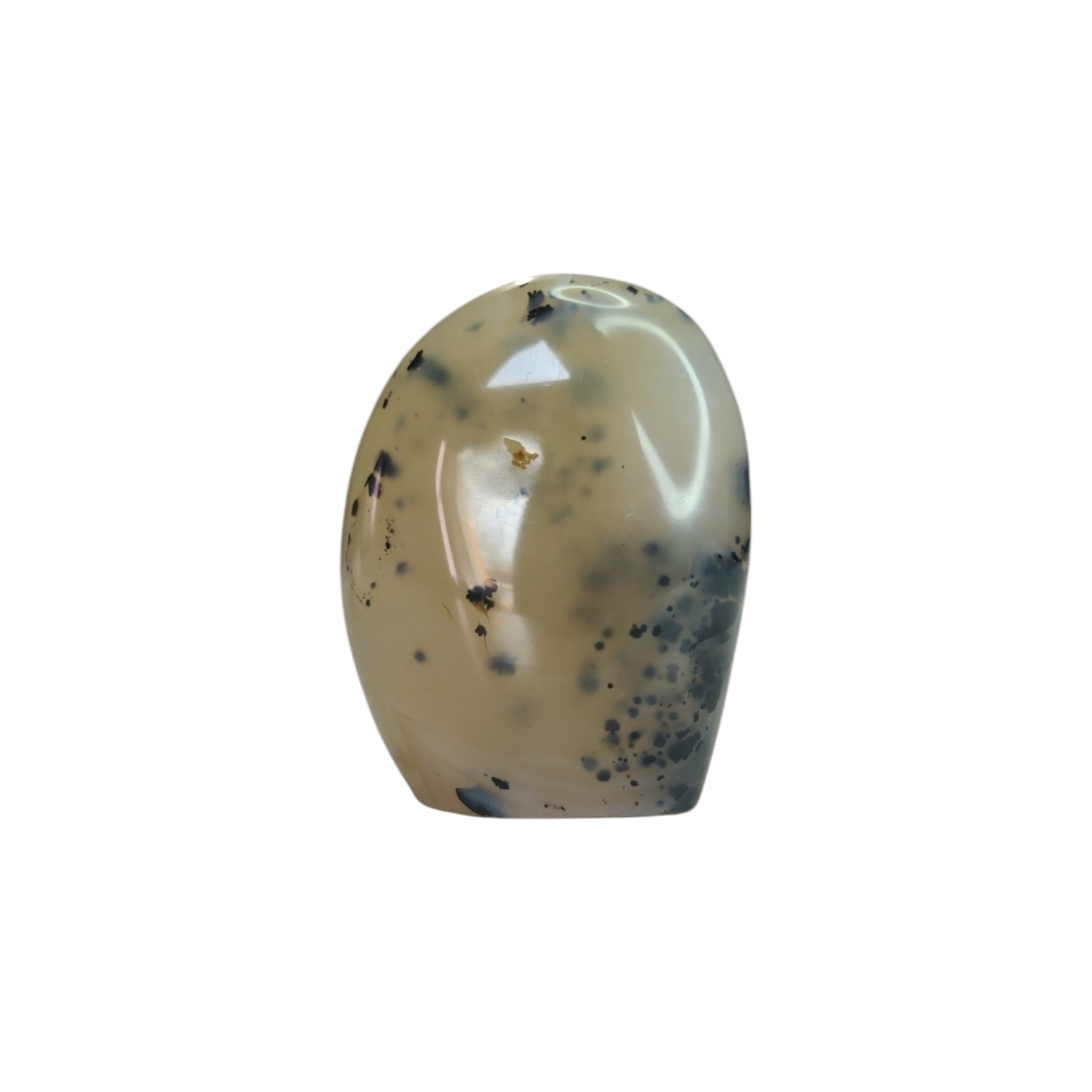 Dendriet agaat freeform 