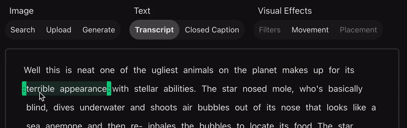 editing the transcript.gif