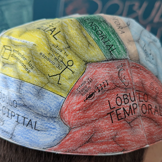 Fabricamos un casco cerebral