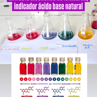 Col lombarda, un indicador ácido-base natural.