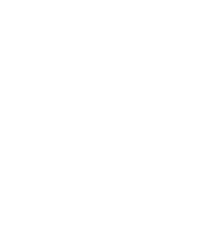 Favicon de Wellbeing & Co. qui est  un phénix révisité: symbole de transformation et renouveau