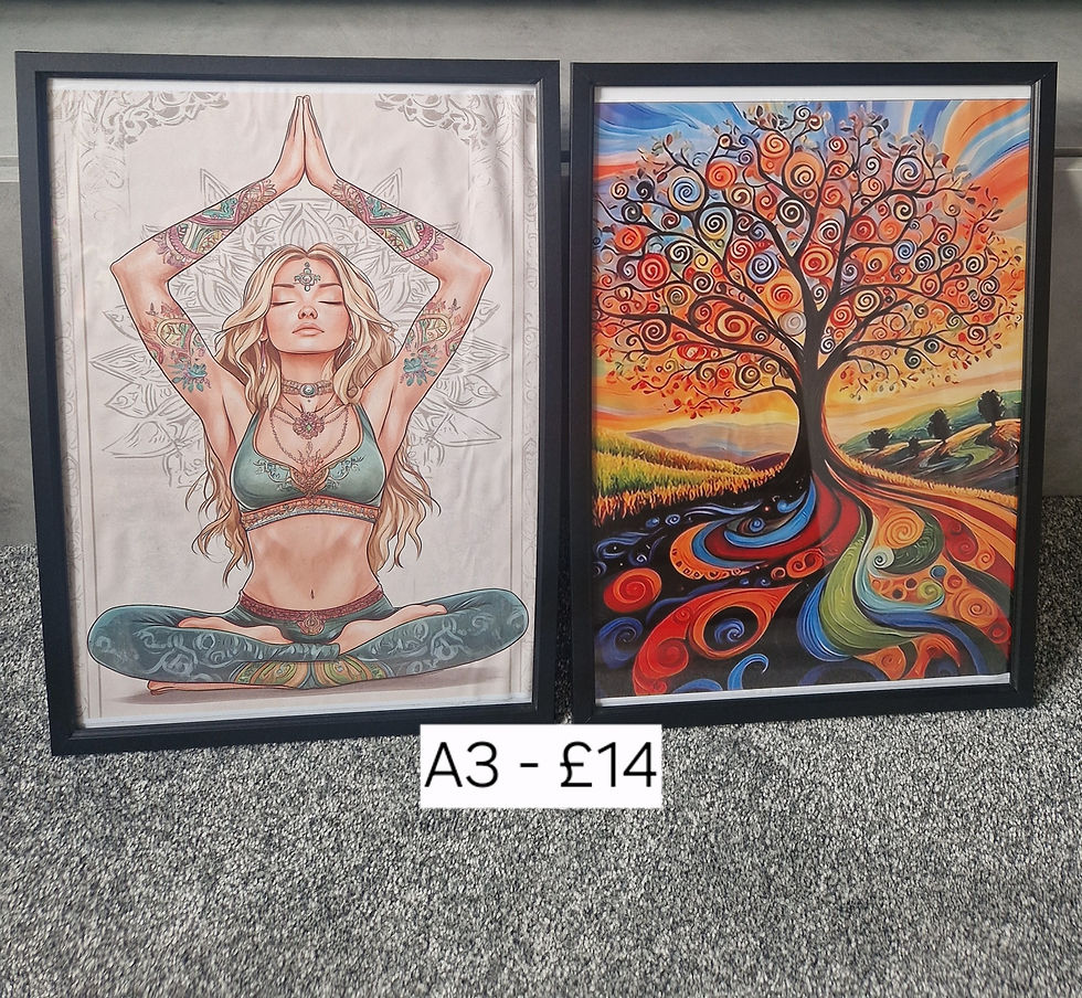 Thumbnail: Framed Pictures 