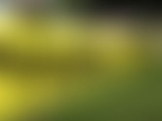 HOMBRE MATA A MUJER FRENTE A SU HIJO MENOR EN ZIHUATEUTLA PUEBLA