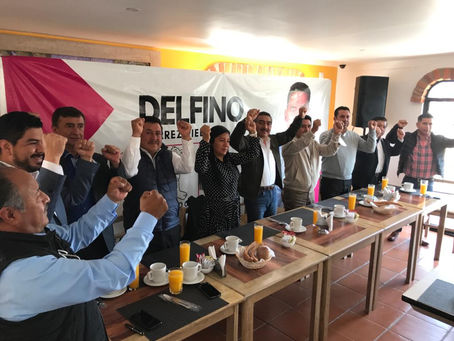 BUSCA DELFINO SUÁREZ DIPUTACIÓN FEDERAL POR LA VÍA INDEPENDIENTE