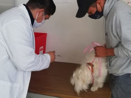 OFRECE ATENCIÓN INTEGRAL MÓDULO CANINO DE SESA