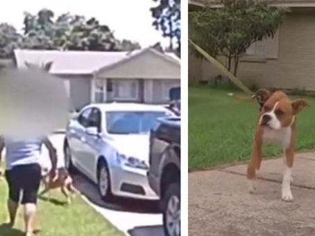 MUJER LE DISPARA A SU HIJO POR ERROR AL INTENTAR HERIR A UN PERRO EN EU