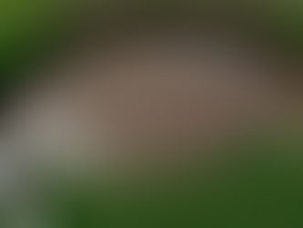 GENERA COMPLICACIONES CRECIMIENTO DE SOCAVÓN EN PUEBLA 