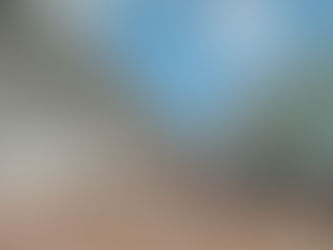 CRUCEROS EN MÉXICO SIN ACTIVIDAD DURANTE PRIMER TRIMESTRE