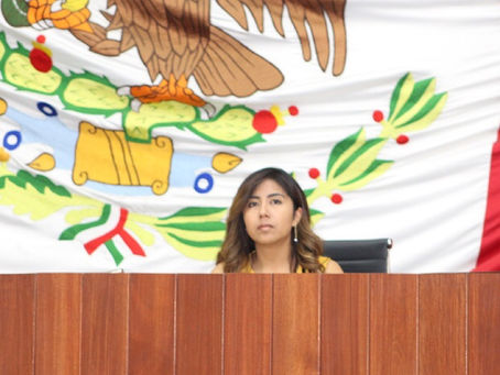 PROPONE MARÍA FÉLIX PLUMA QUE DELITO DEHOSTIGAMIENTO Y ACOSO SEXUAL SE INVESTIGUEN POR QUERELLA.