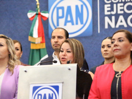 Gobierno de México sin estrategia para protección a las mujeres: Minerva Hernández