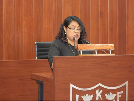 PROPONEN REFORMA CONSTITUCIONAL LOCAL PARA GARANTIZAR EL DERECHO HUMANO A UN AMBIENTE SANO