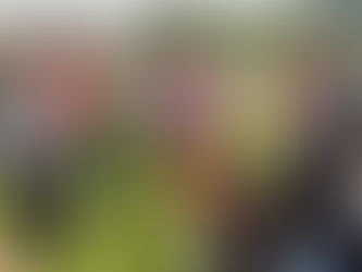 Recorre LCC escuelas Conafe y afirma serán integradas a “La Escuela es Nuestra”