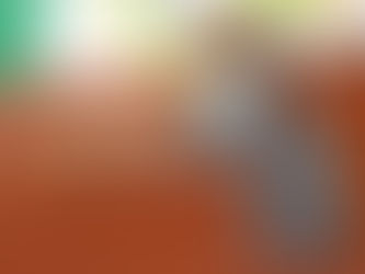 PROPONE LOURDES MONTIEL DISMINUIR A 60 AÑOS LA EDAD PARA CONSIDERAR A UNA PERSONA ADULTO MAYOR 