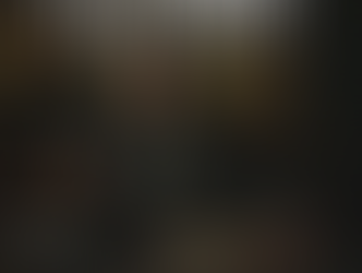 🇫🇷🇬🇧 The Indefensible Ones II / Les Indéfendables II (HP fanfic)