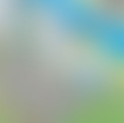 Top 10 NFIP FAQs