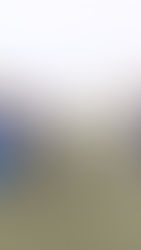 El león va por un rugir en Bahía Blanca