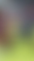 Un líder y varios escoltas en el oficial A de LIFUNE