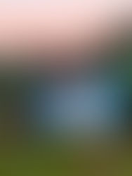 Juegos de la Araucanía, La Pampa será la nueva sede de la edición 2025