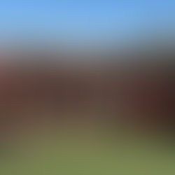 El Torneo de Verano de Hockey tiene sus campeones