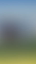 Cinco líderes en un atractivo Oficial A de LIFUNE