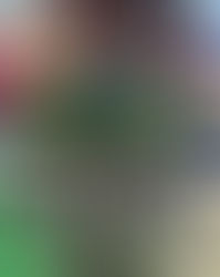 TRES DEL INTERIOR TIRARON SUS EQUIPOS