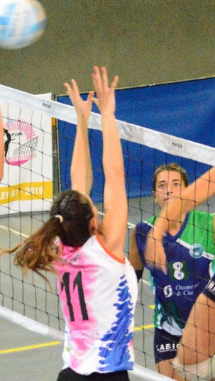 PLOTTIER FRENÓ A CALETA Y SE PRENDE ARRIBA