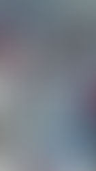 Gran participación del Parque Industrial en el Regional de Taekwondo 