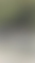 La exigente Regata del Rio Negro entra en definición