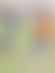 Se define quien jugará la promoción en el Oficial A