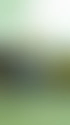 LA PALETA FEMENINA TUVO SU TORNEO VASCO