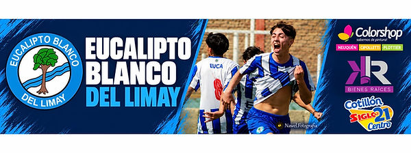eucalitpo blanco 2.jpg