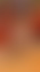 Así iniciará la Liga Federal 