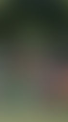 Añelo y Rio Grande sigue en la pelea por el Oficial B