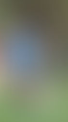 Positivo primer amistoso para Rincón de cara al Federal A 