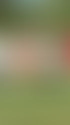 EL ROJO EN LA FINAL PATAGÓNICA