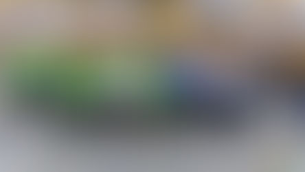 En marcha la segunda etapa de los Juegos Unificados de la Patagonia