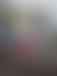 El Prokart inicia este fin de semana una temporada histórica