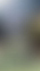 Arranca el clasificatorio Patagónico 