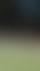 EL ROJO ANTE UN AÑO CLAVE