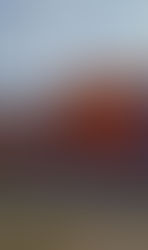 Comienzo de año poco feliz, robaron en el club Patagonia