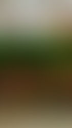 Lluvia de goles en la 3ra fecha de la Liga Feneubal