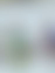 Podios argentinos y boletos mundialistas para palistas neuquinos