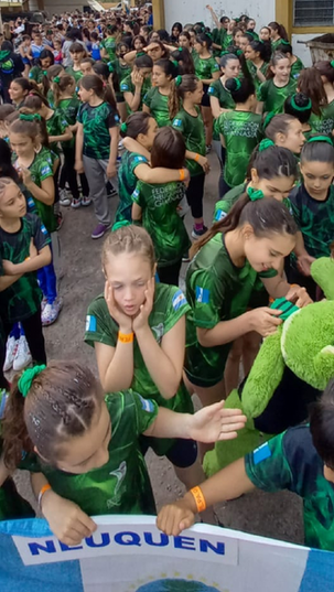 Neuquén, listo para el nacional de Gimnasia Artística