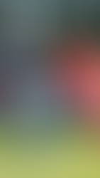 Cruces confirmados para los neuquinos en el Regional Amateur 