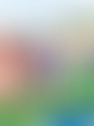 Post receso, reanuda el Torneo integración 