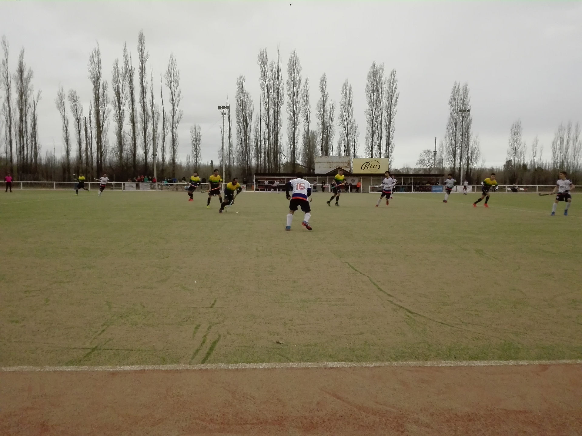 LOS PERALES VS TIRO FEDERAL